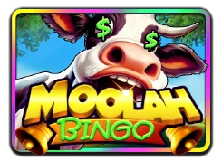 Moolah Bingo